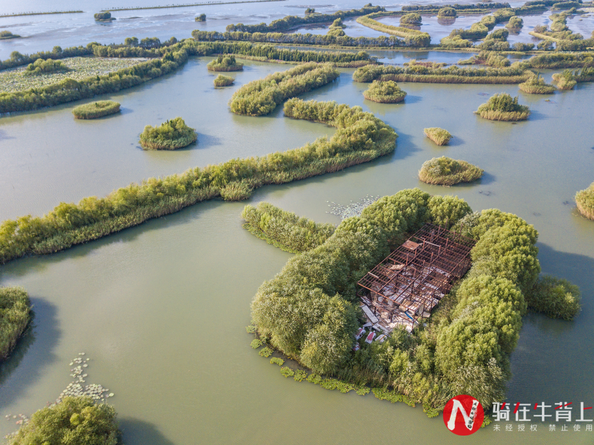 来苏州必去的十大旅游景点,来苏州玩七个景点免费