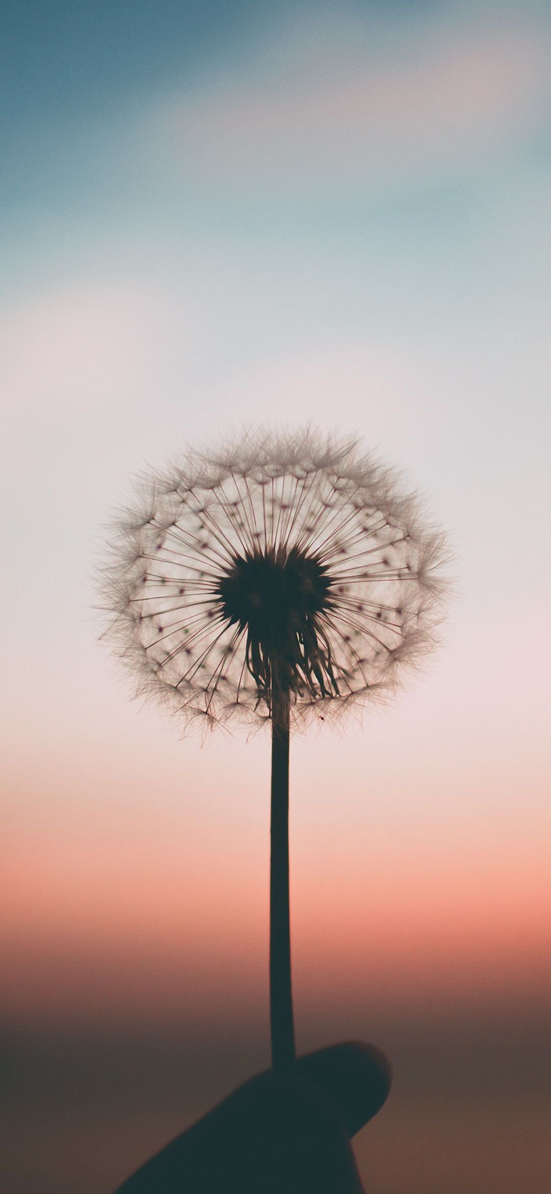 绝美高清手机壁纸唯美,绝美动漫手机壁纸高清