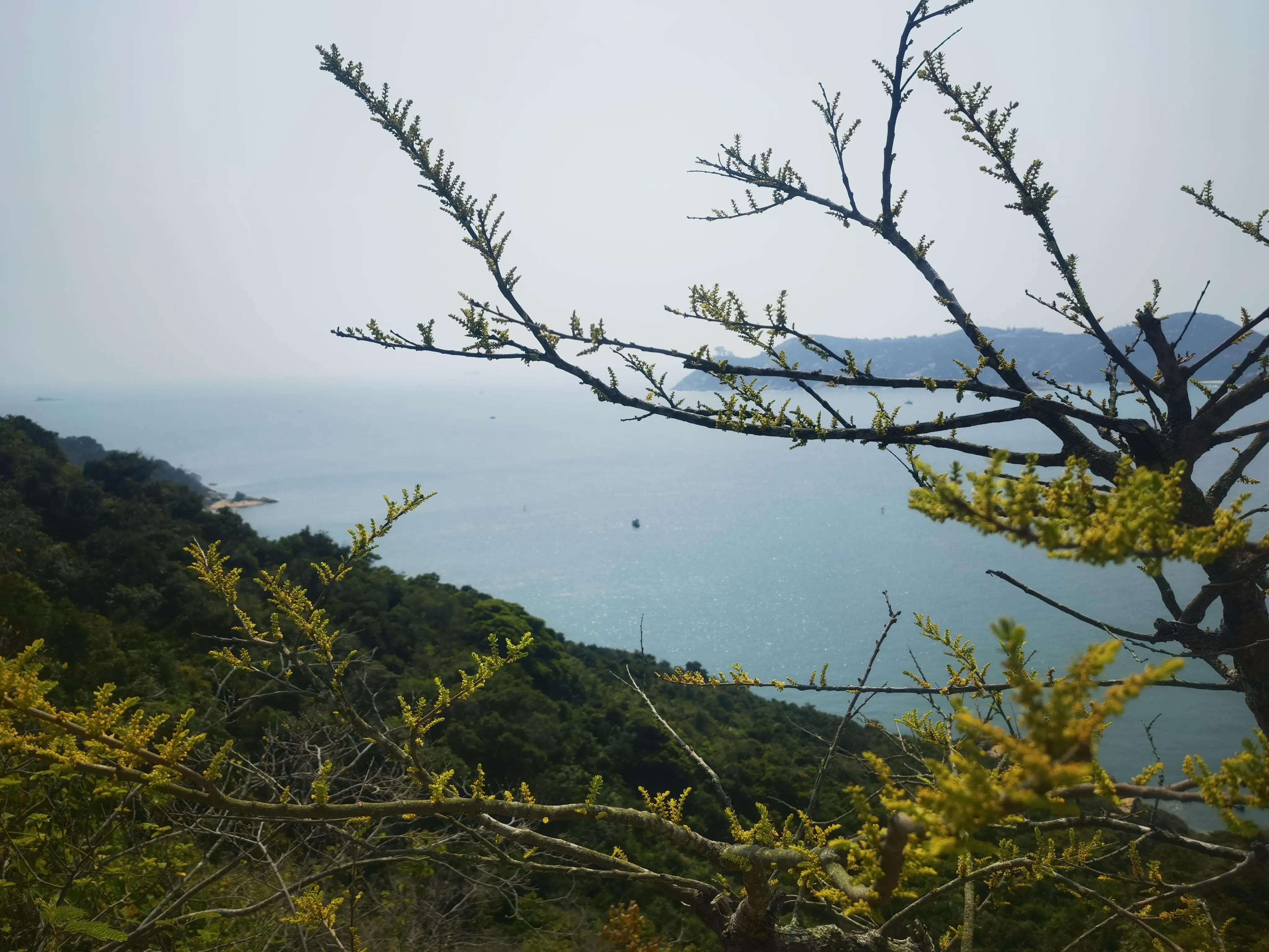 香港三日游和澳门一日游最佳线路,香港三日游最佳攻略