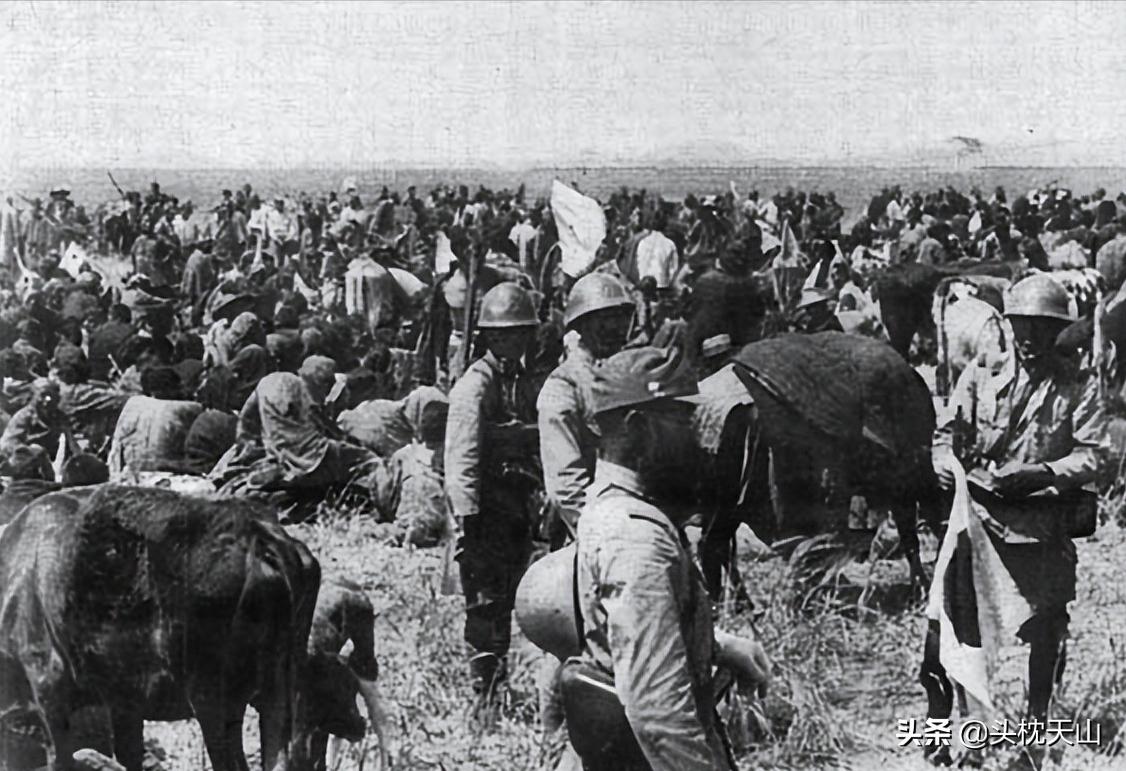 家乡的抗战-1938-鏖战“黄泛区”