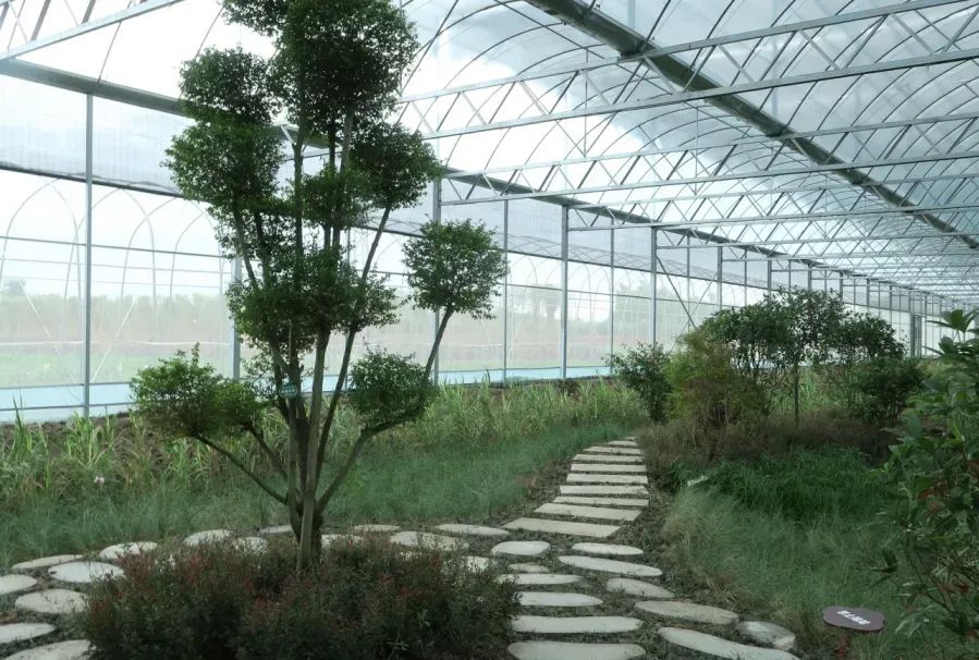 六月一起去邛崃逛古镇看云海日出共赴萤火虫之约