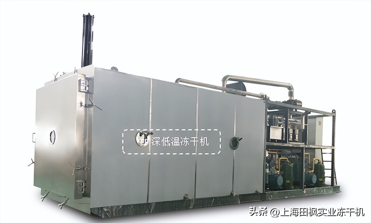 冷冻干燥机冻干标准是什么,深冷炉液氮速冻机