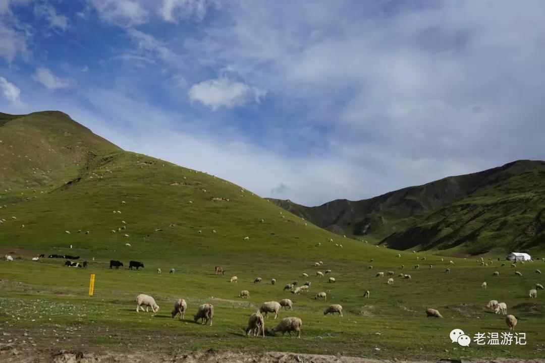 *藏西**行九点观感