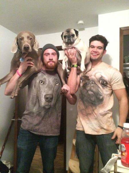 第一个用无人机拍到的鲸鱼,鲸鱼萤火虫