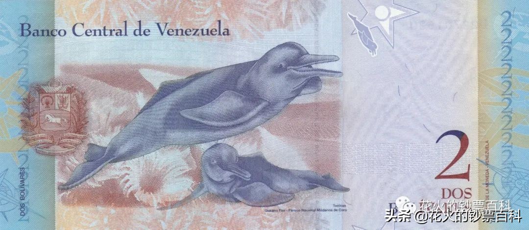 委内瑞拉二元纸币,委内瑞拉50000元纸币解析