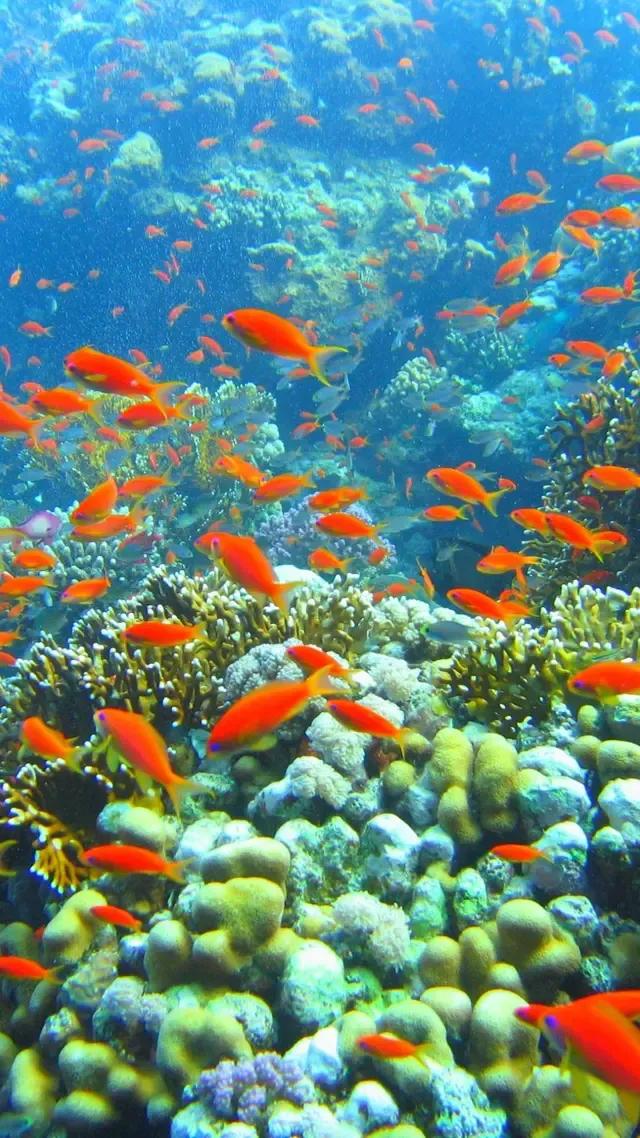 蓝色海景壁纸图片大全,海景壁纸4k超清全面屏