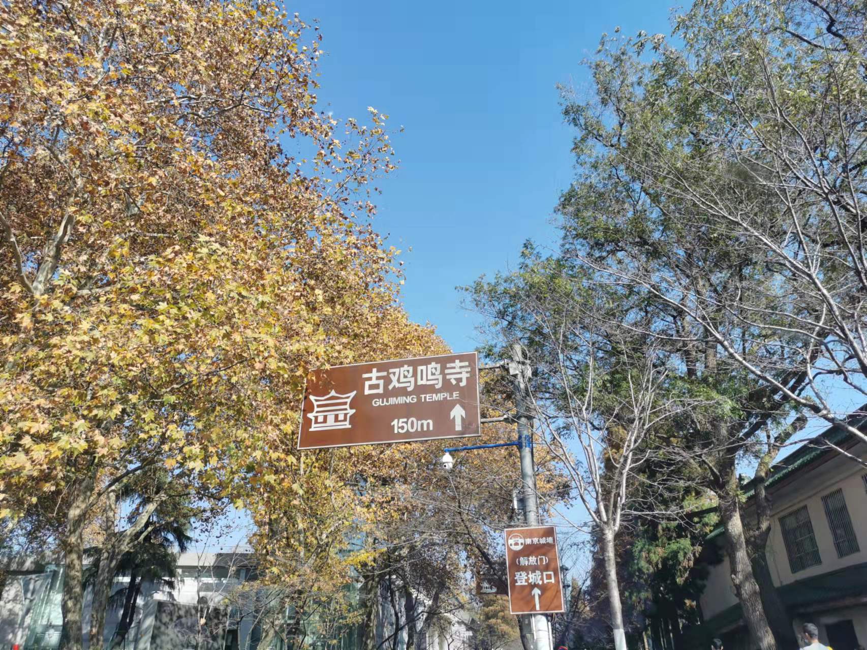 南京古生物博物馆观后感,古生物博物馆南京参观路线