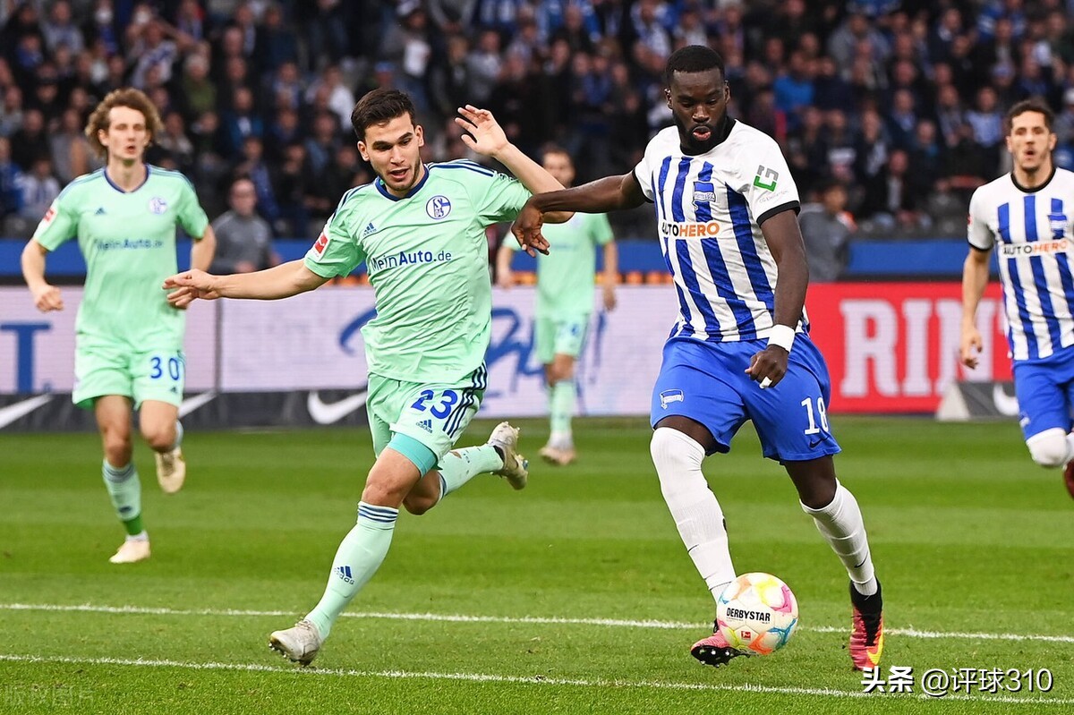 23030期任九预测,24071期任九分析