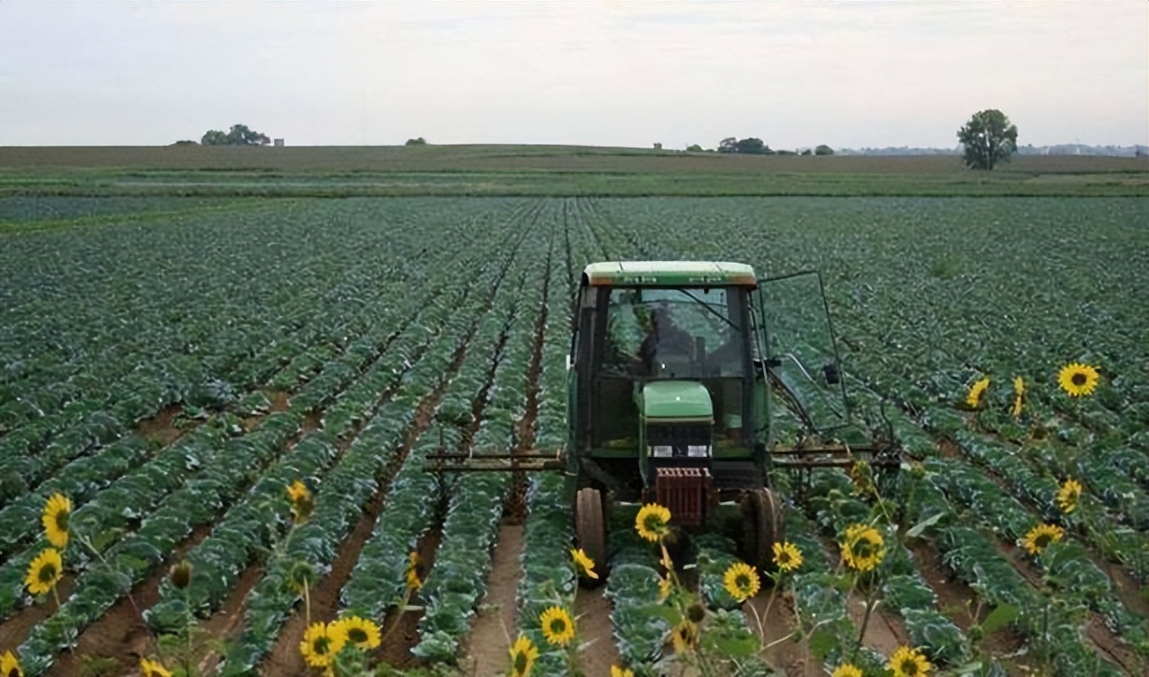 走进美国的真实生活,走进我国农村真实生活