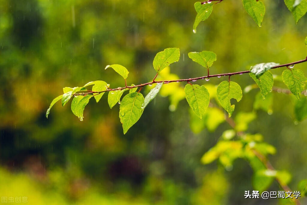 散文夏天汪曾祺,夏天的经典散文