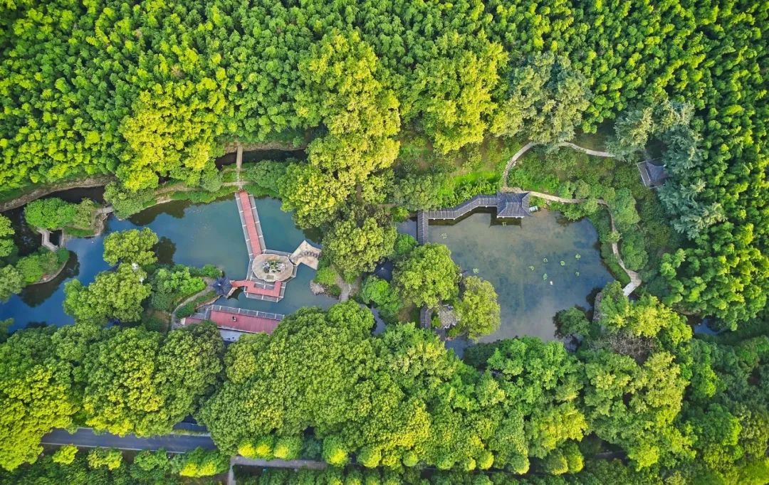 【关注】苏州11号线今天“万人试乘”！换乘方便吗？上海交通卡能用吗？要二次安检吗？看这里→