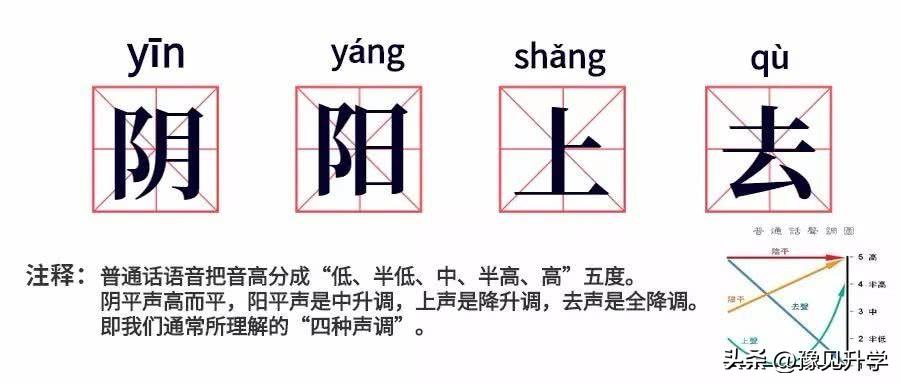 世界杯冷知识是什么意思,世界杯冷知识墨索里尼