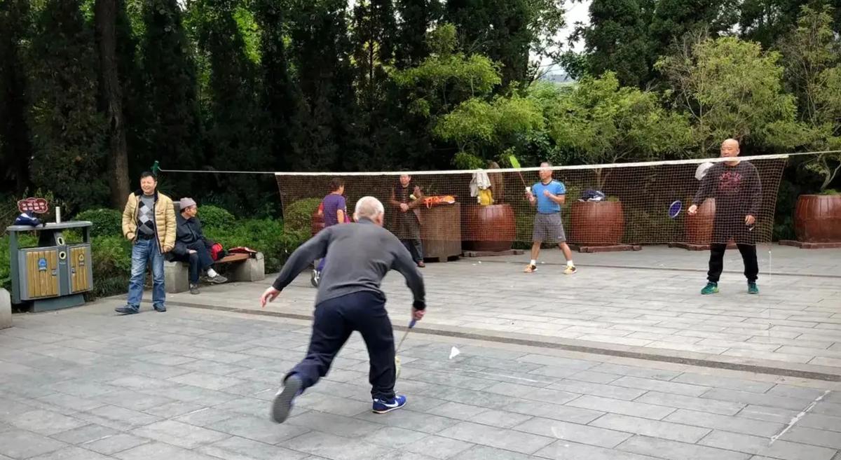 保护身体健康最好的运动,锻炼心脑血管血液循环最好的运动