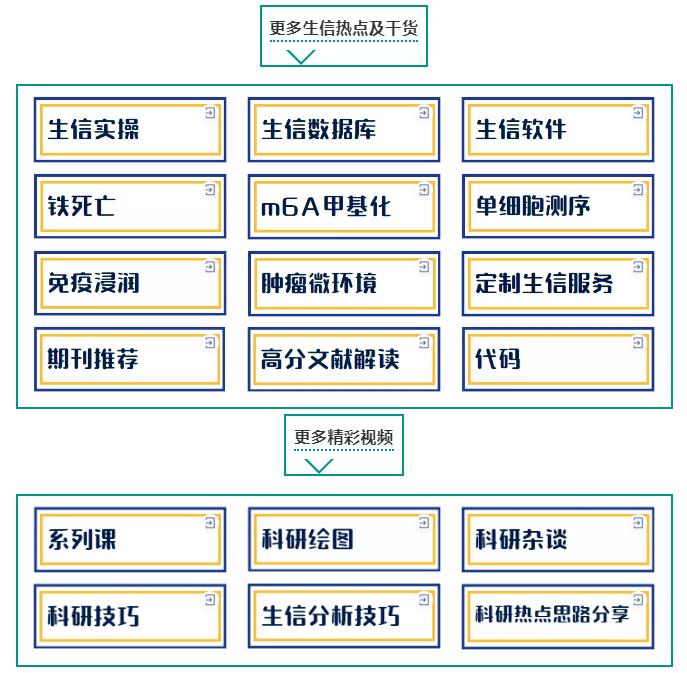 怎么用mega软件构建进化树,mega6软件使用教程视频