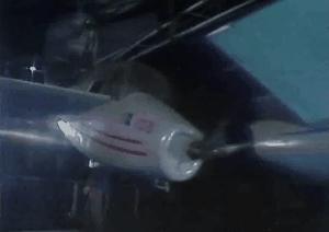 广东有百分之几人看春晚,广东人看春晚的多不多