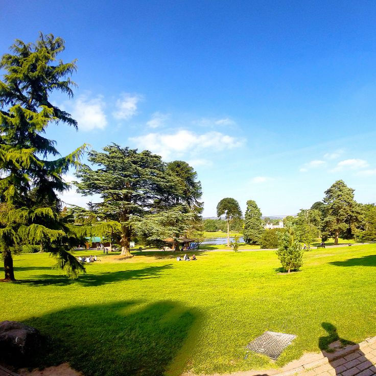 QS排名低，但就读体验极好的两所英国大学