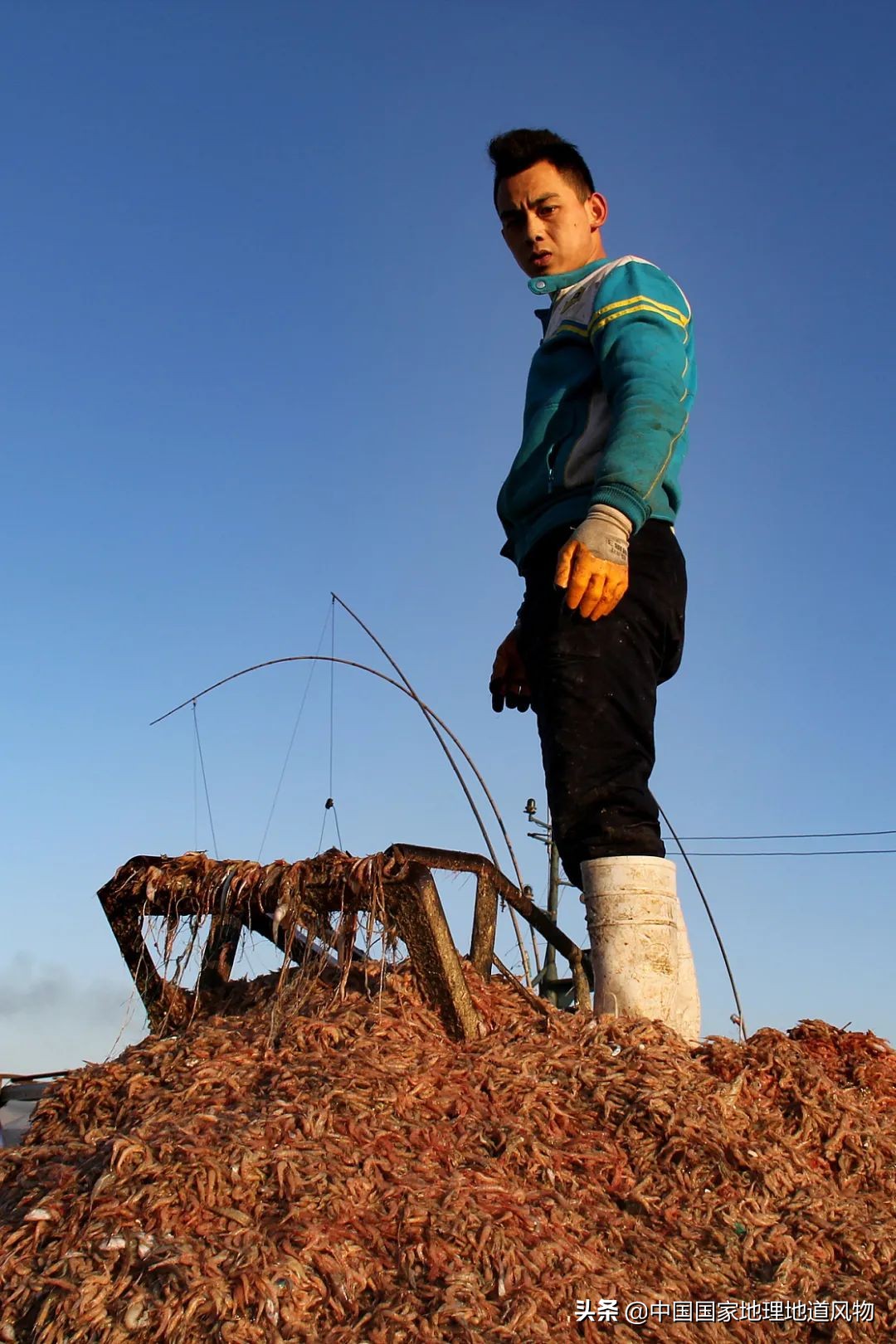 辽宁哪个地方的海鲜最好,辽宁各市都有啥海鲜