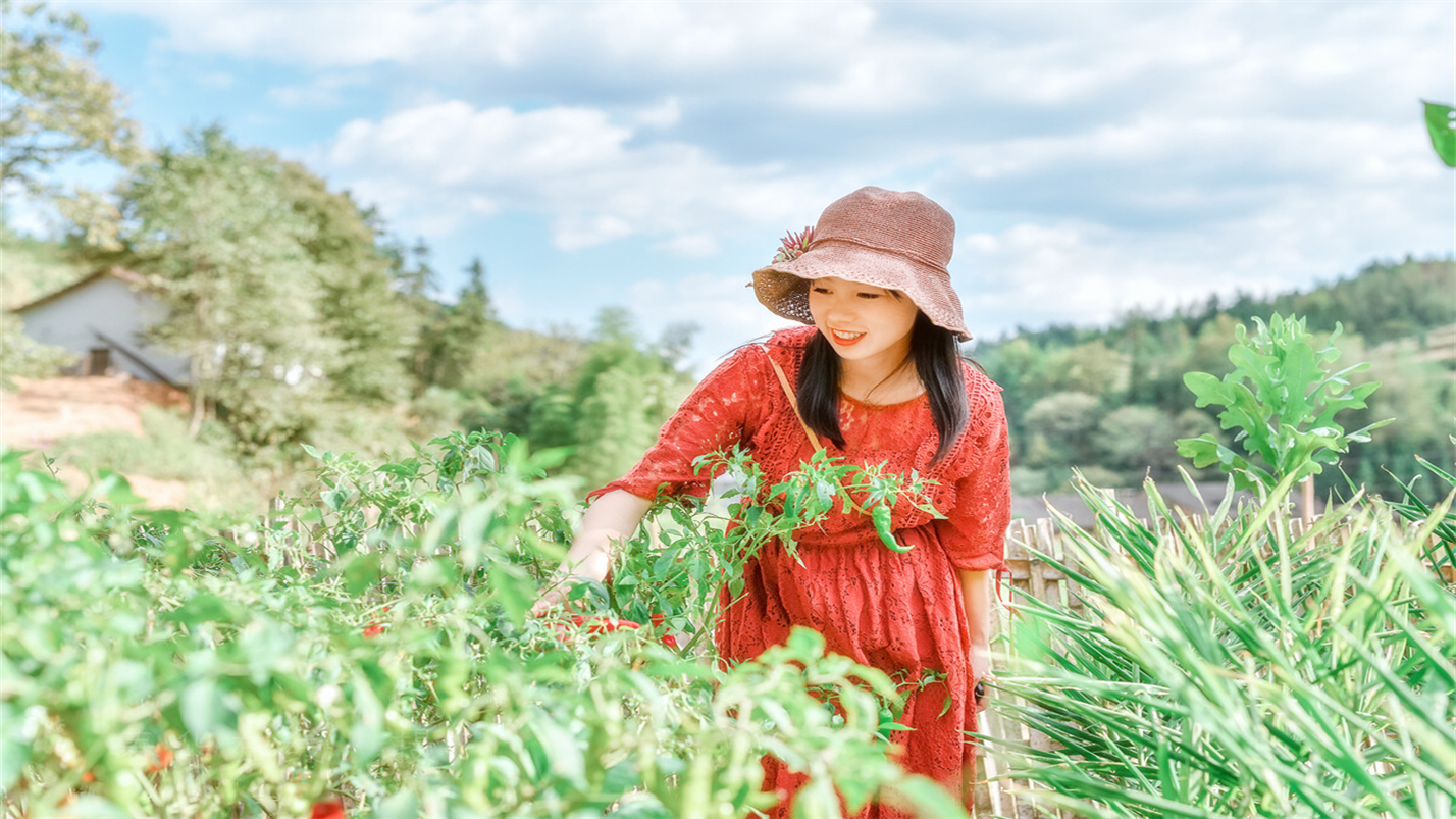 雨过天晴的惬意,雨过天晴很惬意的句子
