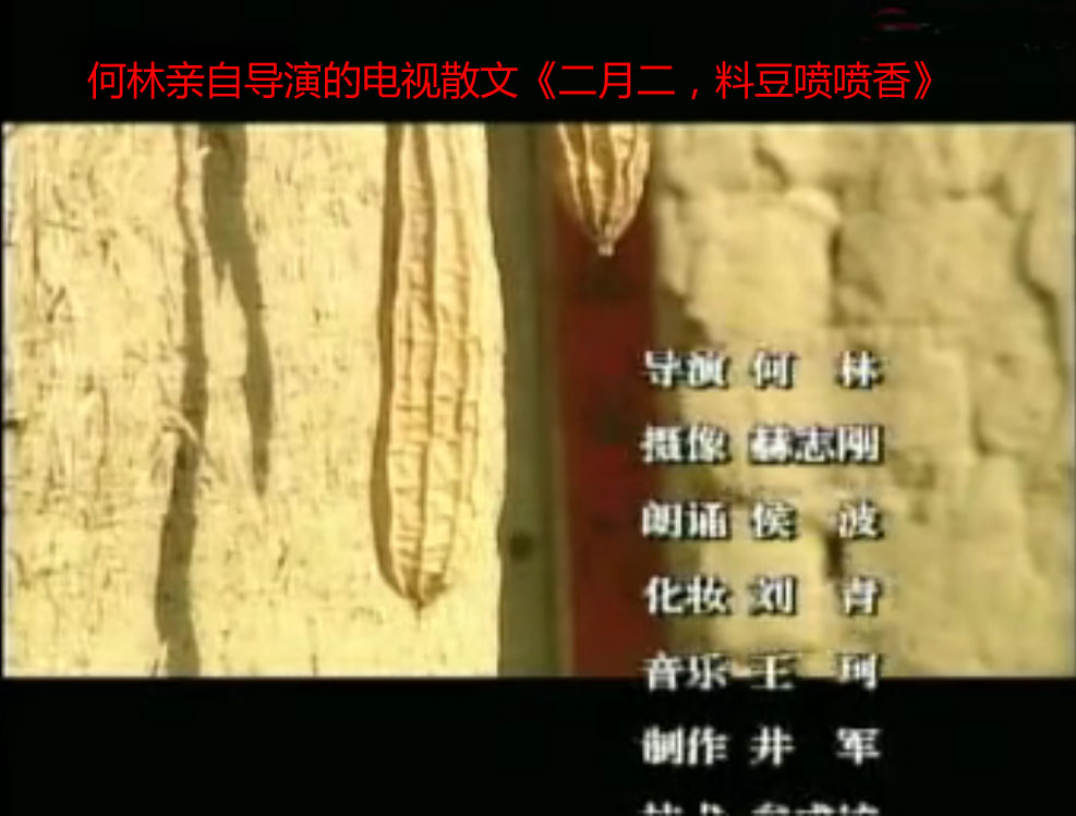 二月二料豆各种做法,二月二料豆