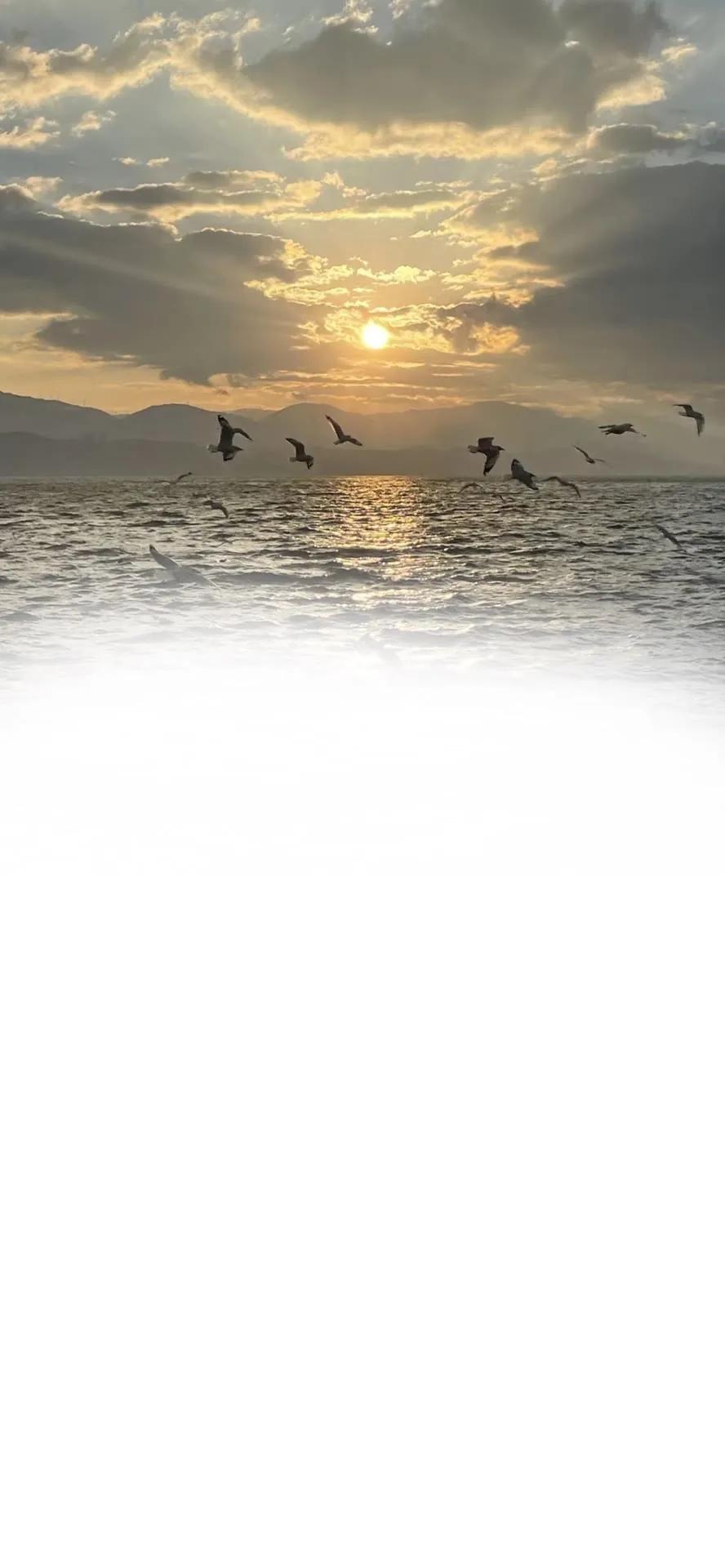 渐变聊天背景,渐变色聊天背景图教程