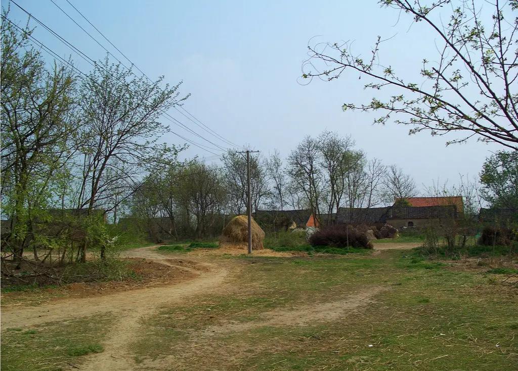 散文：一项有趣的晨练运动