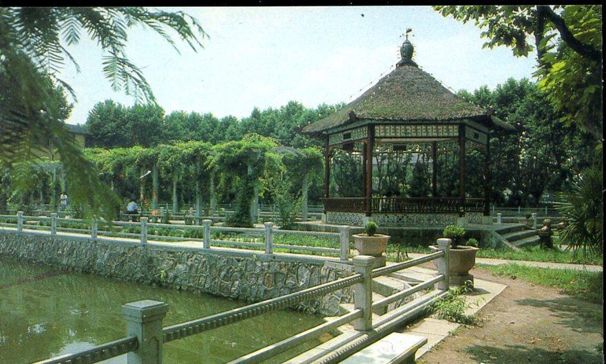 老照片再现侵华日军的罪恶行径,老照片日本侵华暴行