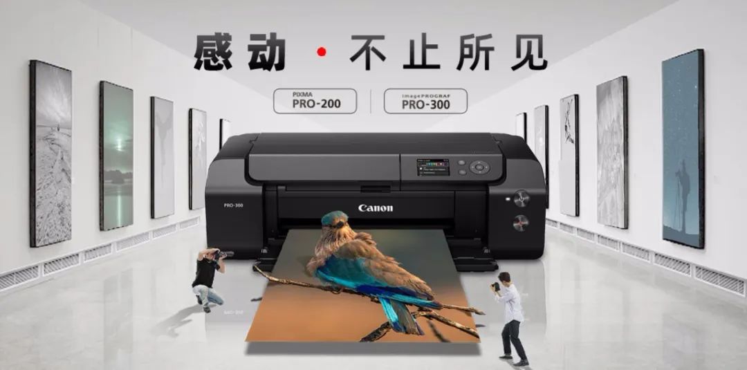 集体撤离？关于打印机的一点闲篇……