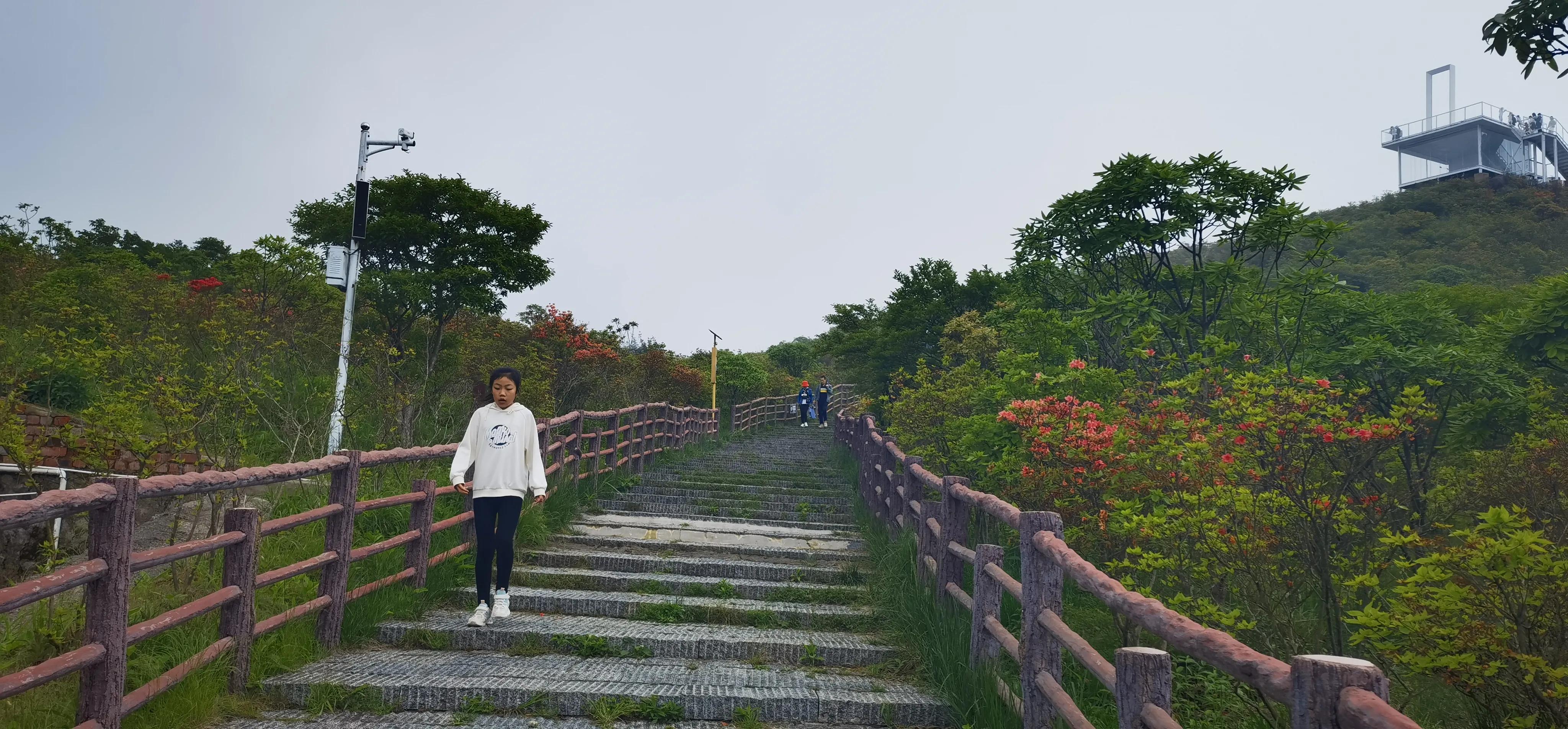 浏阳大围山森林公园浏阳河源头,大围山杜鹃花在哪个景点看