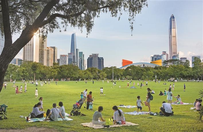 航拍深圳城市全景风光,大深圳美景图片