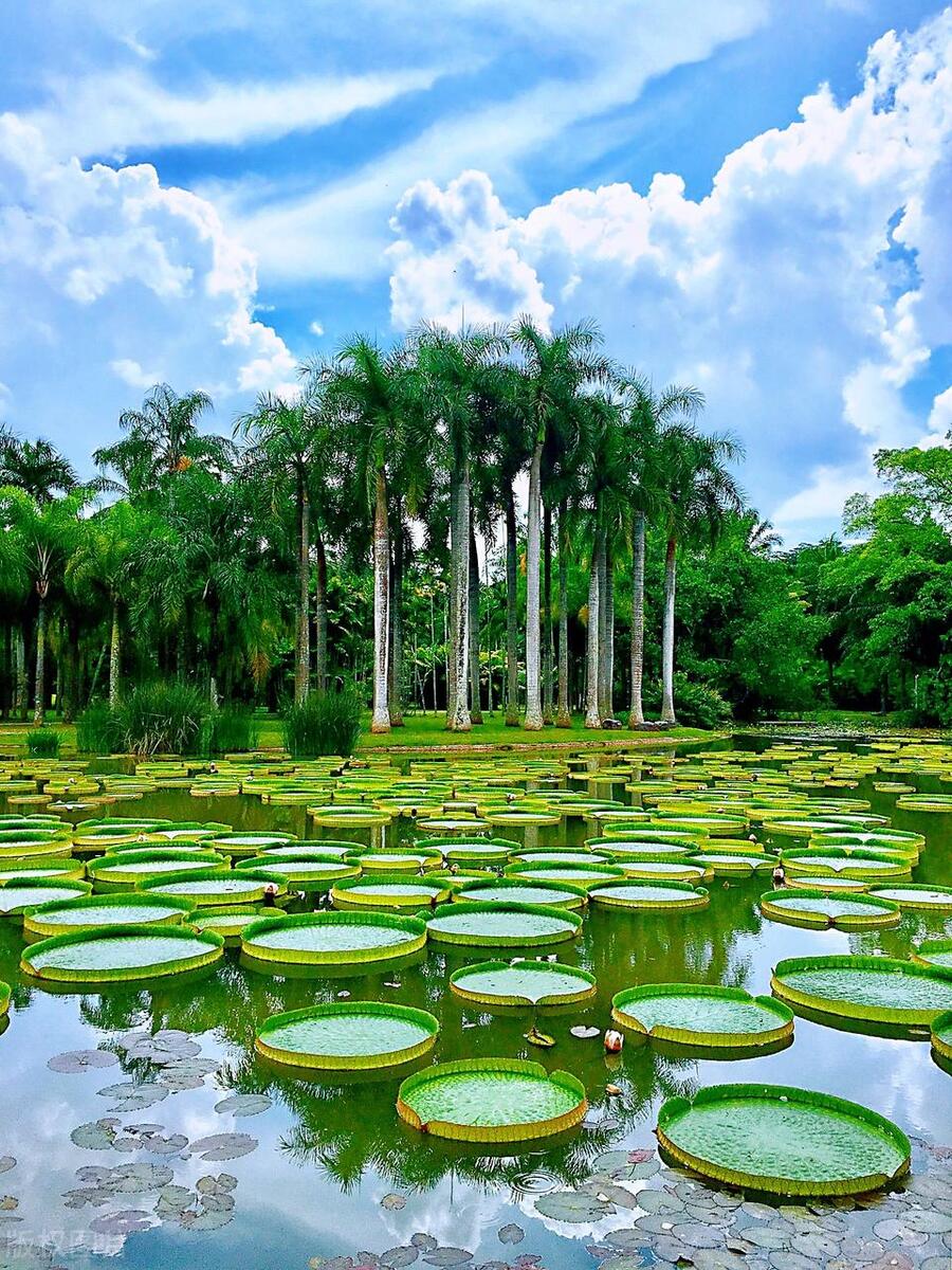 中国最值得去的100个地方是哪里,中国值得去的10个绝美旅行地