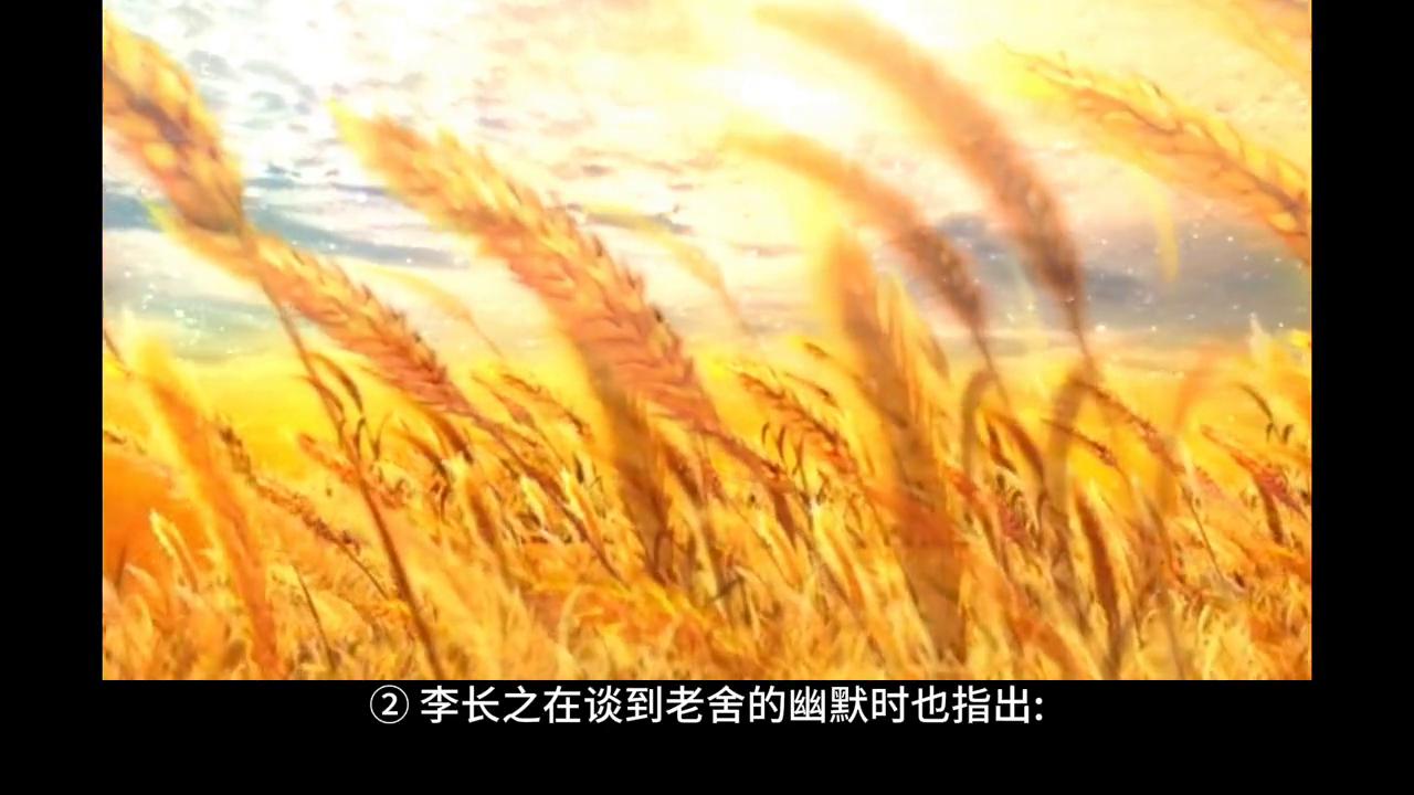 骆驼祥子文学史地位,骆驼祥子对文学史的影响