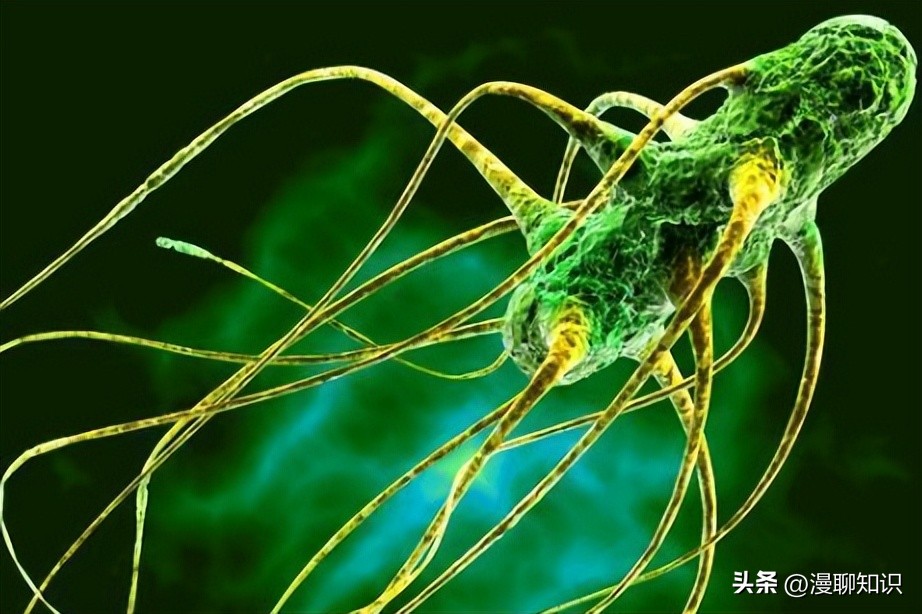 真菌病害多吗,真菌感染能引起多少种疾病