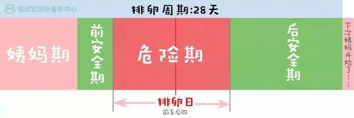 排卵期前七天是安全期吗,女性什么时候是安全期和排卵期