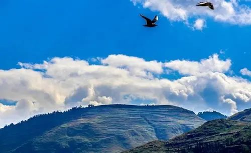 对一个恶人是报复还是远离,对待恶人要学会反击