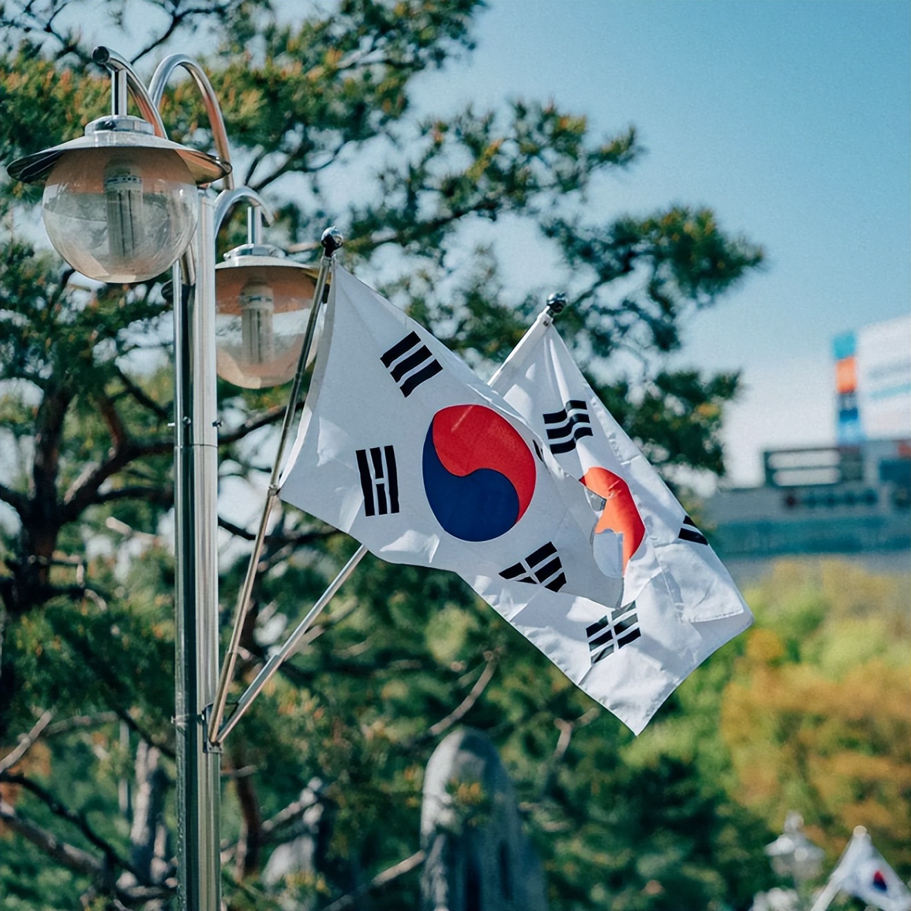 游客入境，多国已不设限！各国最新入境、签证及疫苗政策汇总