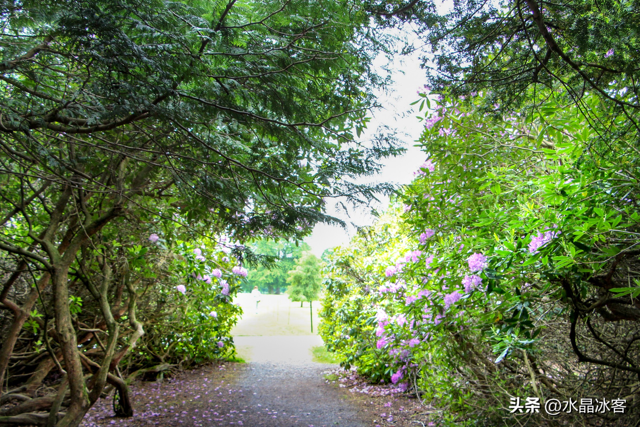 英国爱尔兰苏格兰旅游攻略,苏格兰爱尔兰北爱尔兰