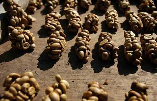 一杯猫屎咖啡要多少钱,一杯猫屎咖啡的价格