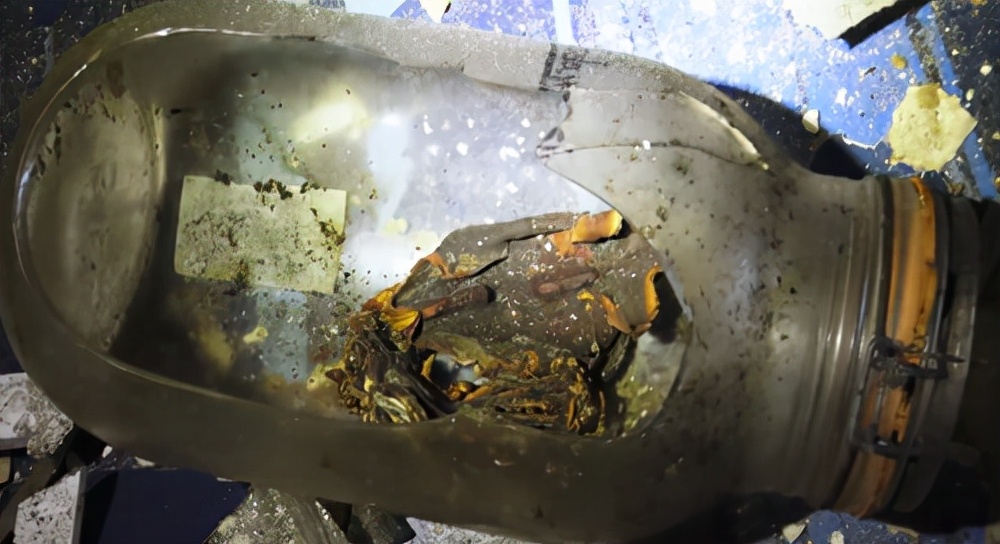 僵尸水族馆原片 (恐怖鲨鱼僵尸)