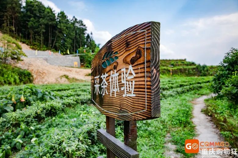 小长假旅游景点大全,夏季周边旅游美食之旅