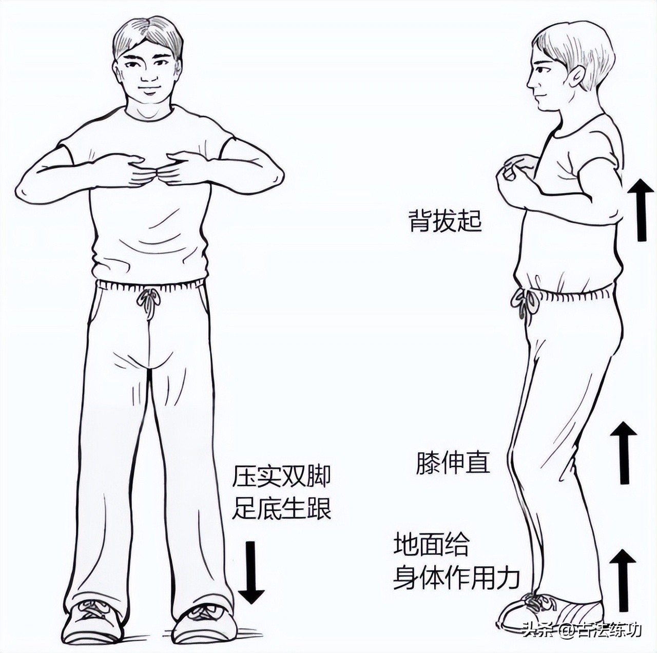 站桩内功解密视频,神奇的站桩视频