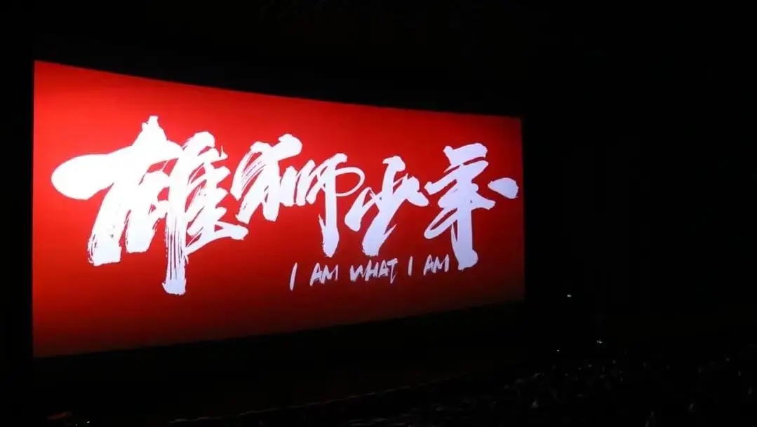 雄狮少年结局掉下来没有,雄狮少年好不好看