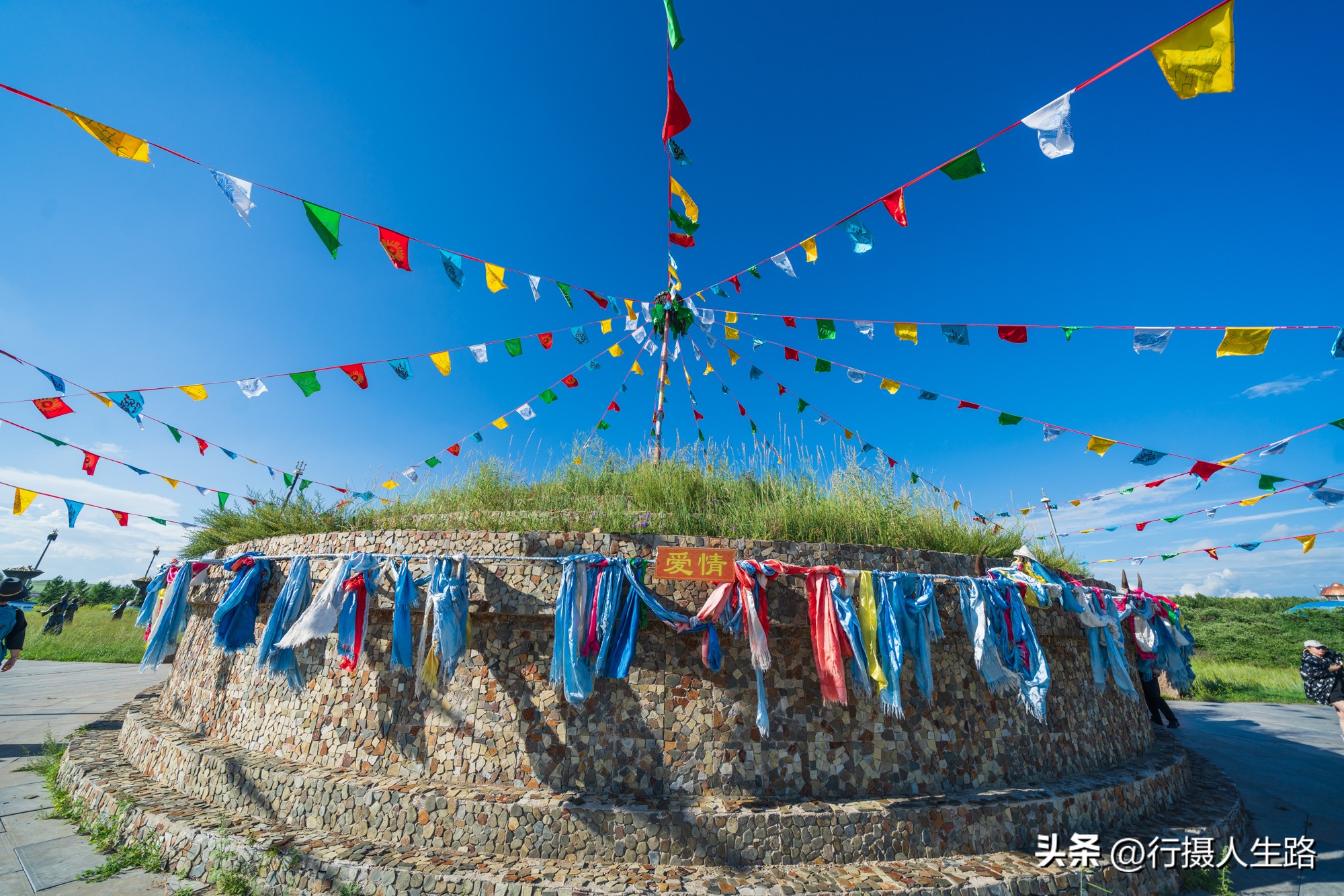 一路向北去黑龙江漠河,一路向北去寻找花海