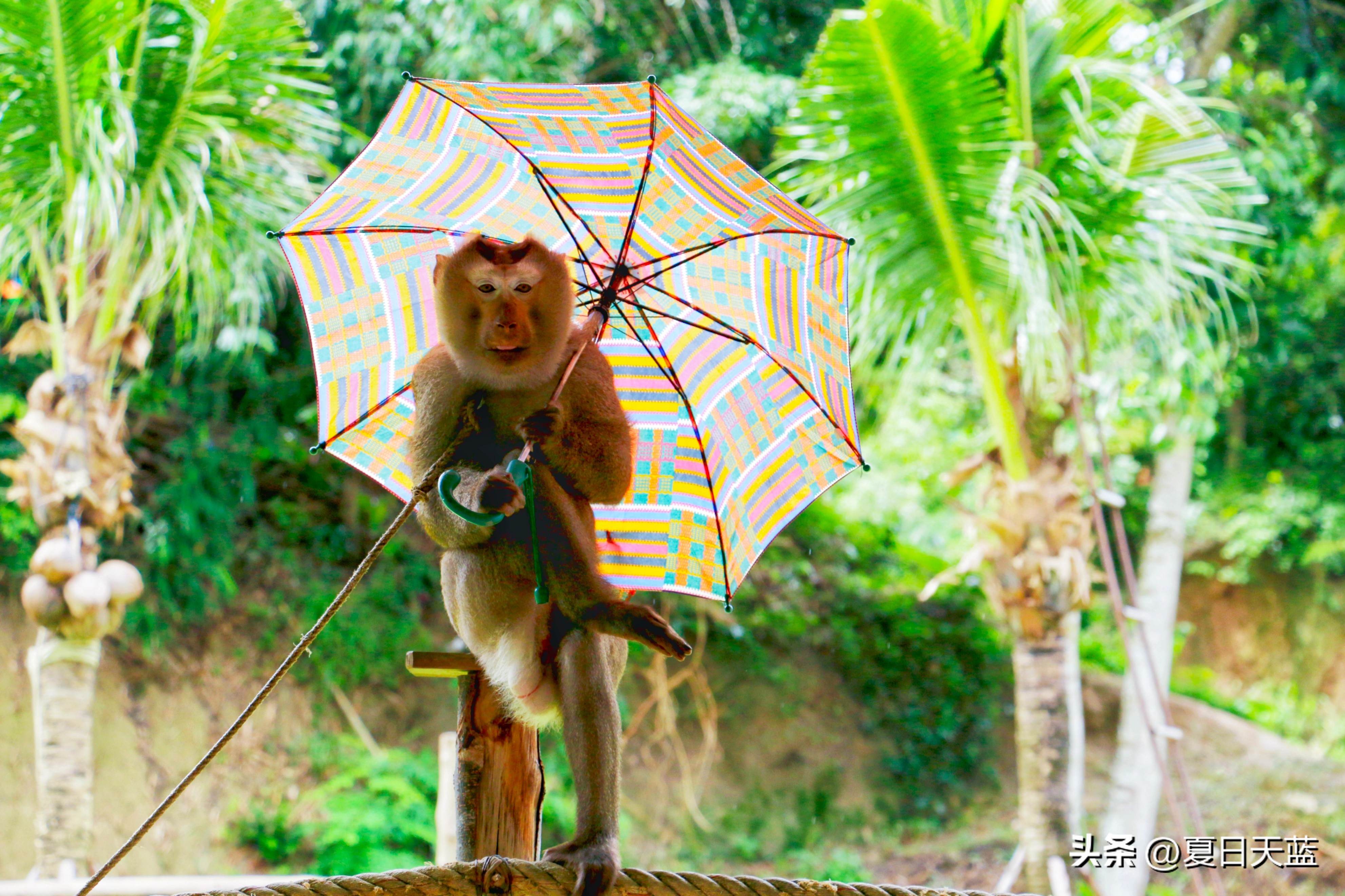 行走东南亚泰国,豪华不一样的东南亚之旅了解一下