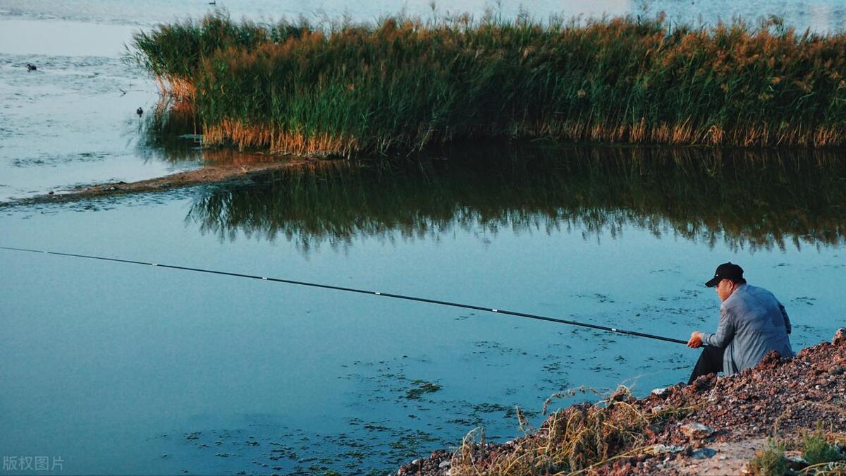 野钓最忌讳碰到这3种鱼,野钓的十大坏习惯