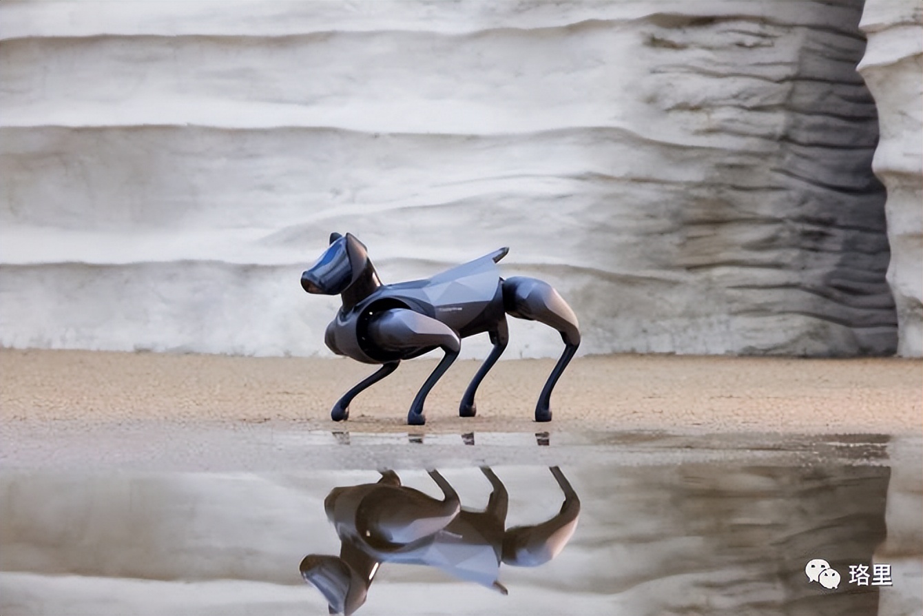 小米cyberdog2爆改导盲犬,小米cyberdog2拆解