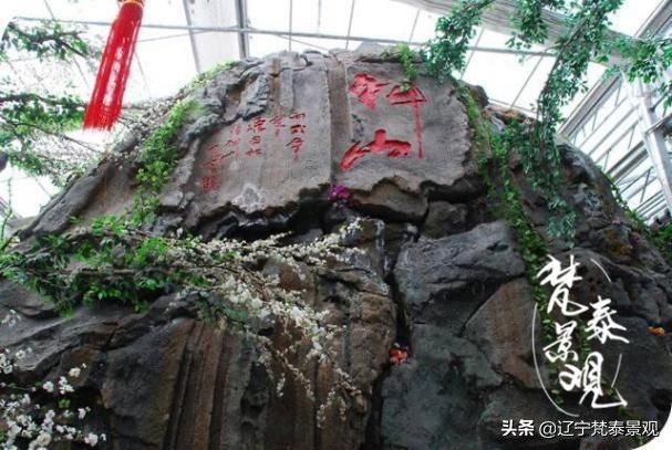 宜兴竹海风景区竹子有多少,宜兴竹海风景区介绍视频