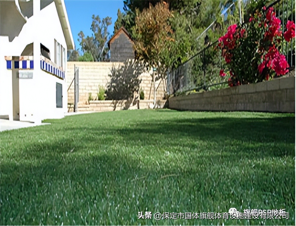 三人制笼式足球场尺寸,标准足球场地尺寸介绍