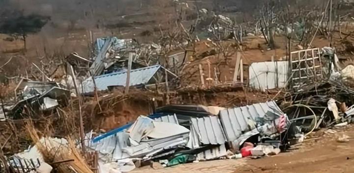 山东女足队员家遭强拆官方通报,官方通报山东女足队员家遭强拆