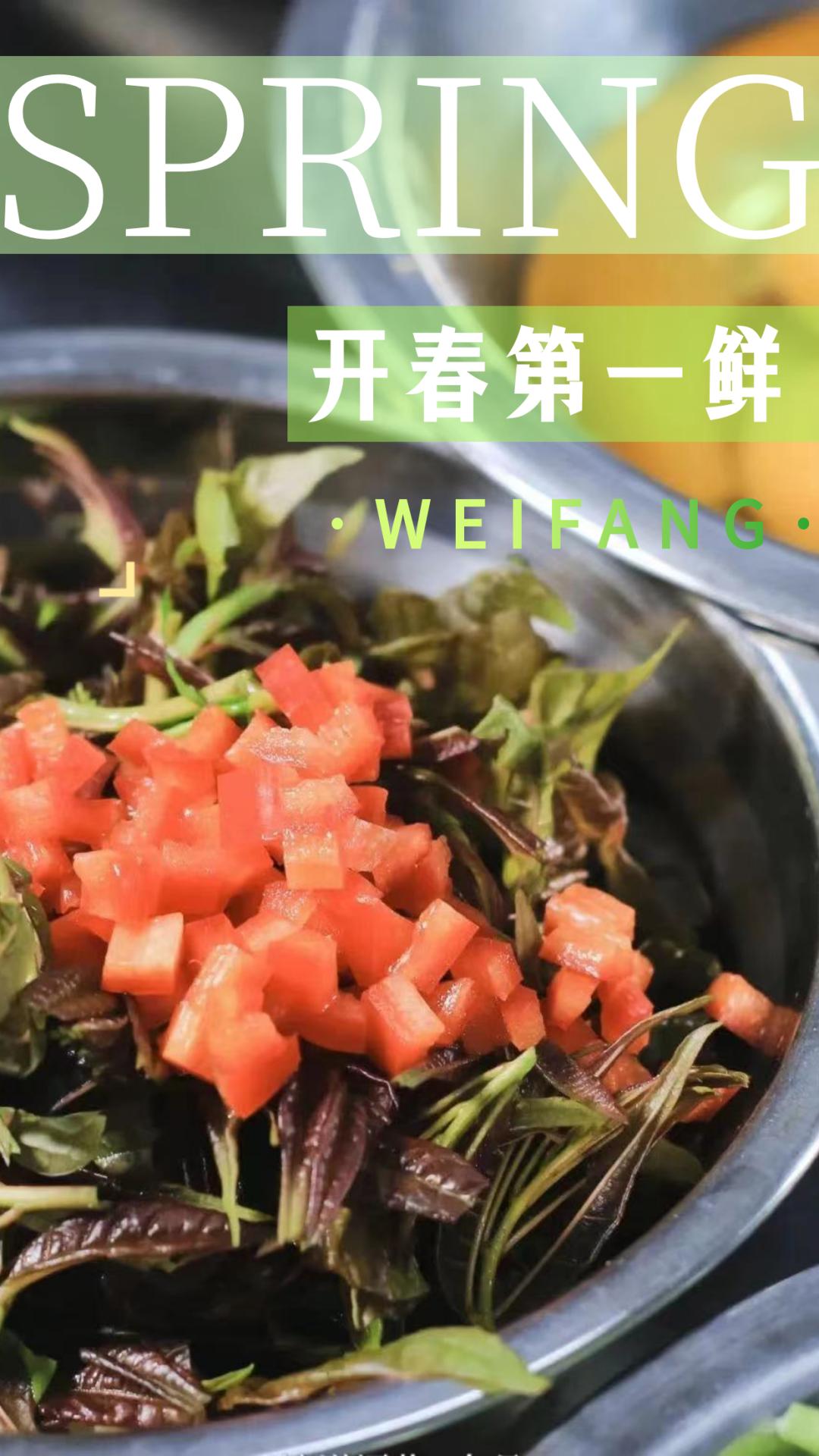 浙江春菜上新品尝春天第一口鲜,春菜正当季快来尝尝春天的味道