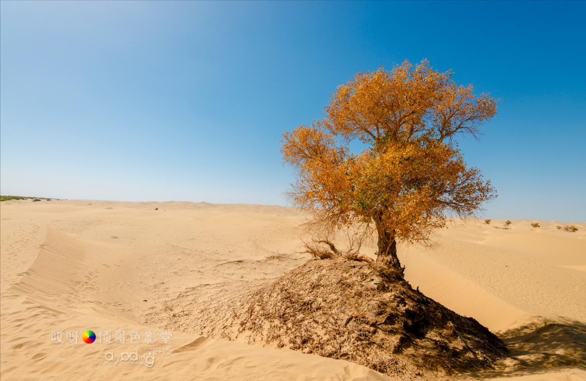 女司机带娃去新疆自驾游,带着女司机自驾游兰州